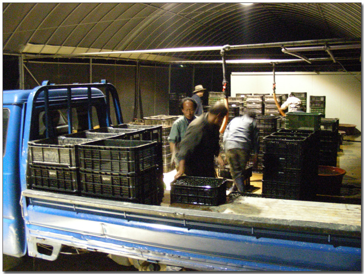 2009224148_884c6f08_DSCN3614.jpg