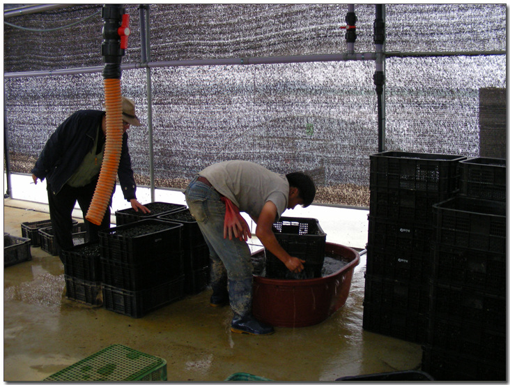 2009224148_ffa42c12_DSCN3553.jpg
