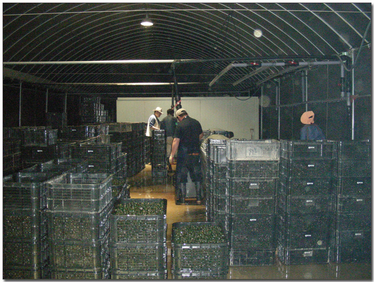 2009224148_0ab65778_DSCN3640.jpg