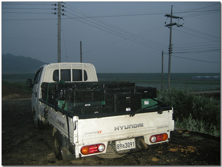 2009224148_9af3a249_DSCN3620.jpg