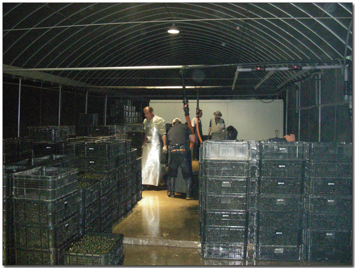 2009224148_e2489bf6_DSCN3634.jpg