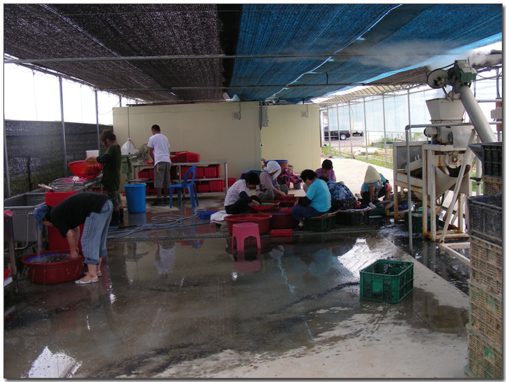 2009224148_467c9be5_work-006.jpg