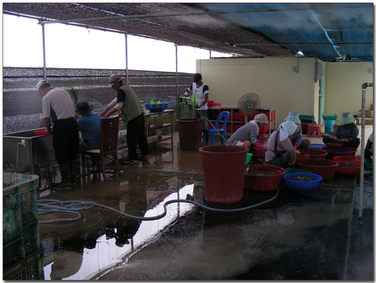 2009224148_82d3a971_work-002.jpg