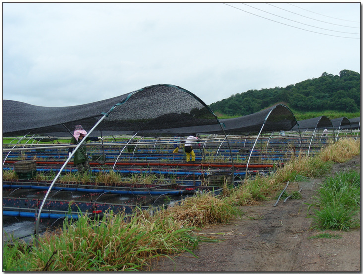 2009224148_ffd1e27b_work-005.jpg