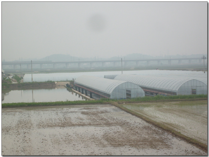 2009224140_0edce880_work-019.jpg