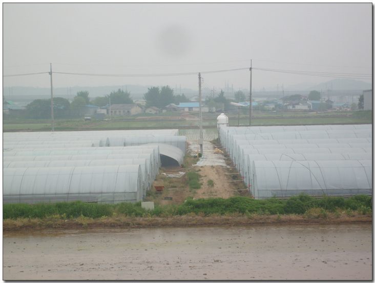 2009224140_395054bf_work-016.jpg