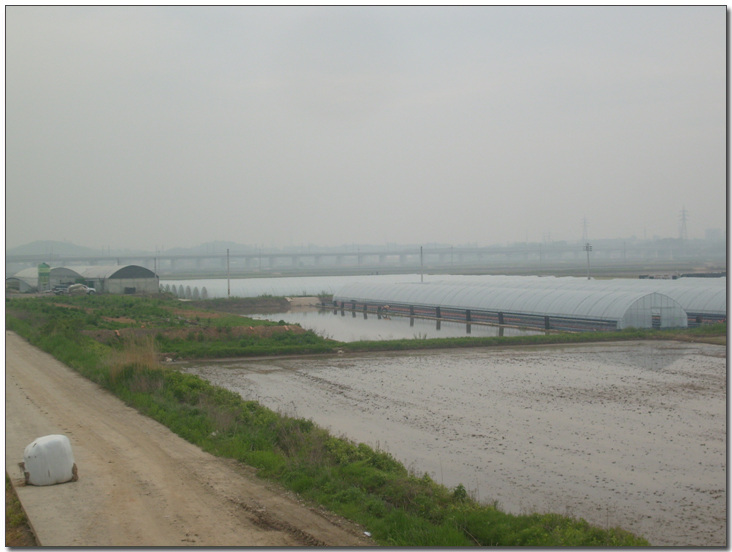 2009224140_93227df2_work-018.jpg
